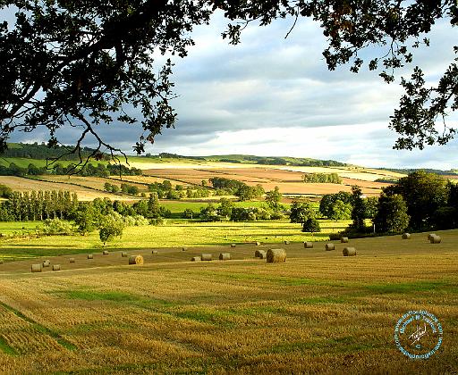 Scottish Borders 8K023D-16.JPG